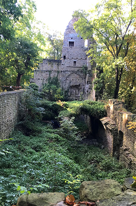 Schon überwucherte Klosterruine Disibodenberg - ein Ort mit besonderer Energie
