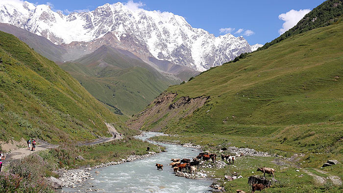 Wilder Bergbach in der ursprünglichen Bergwelt in Georgien