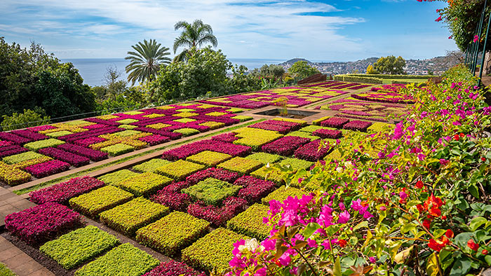 Prachtvoller Blumengarten auf Madeira